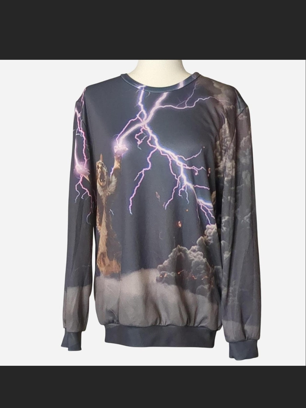 ⚡️ VINTAGE LET’S RAGE LIGHTNING CAT SWEATSHIRT SIZE M ⚡️
